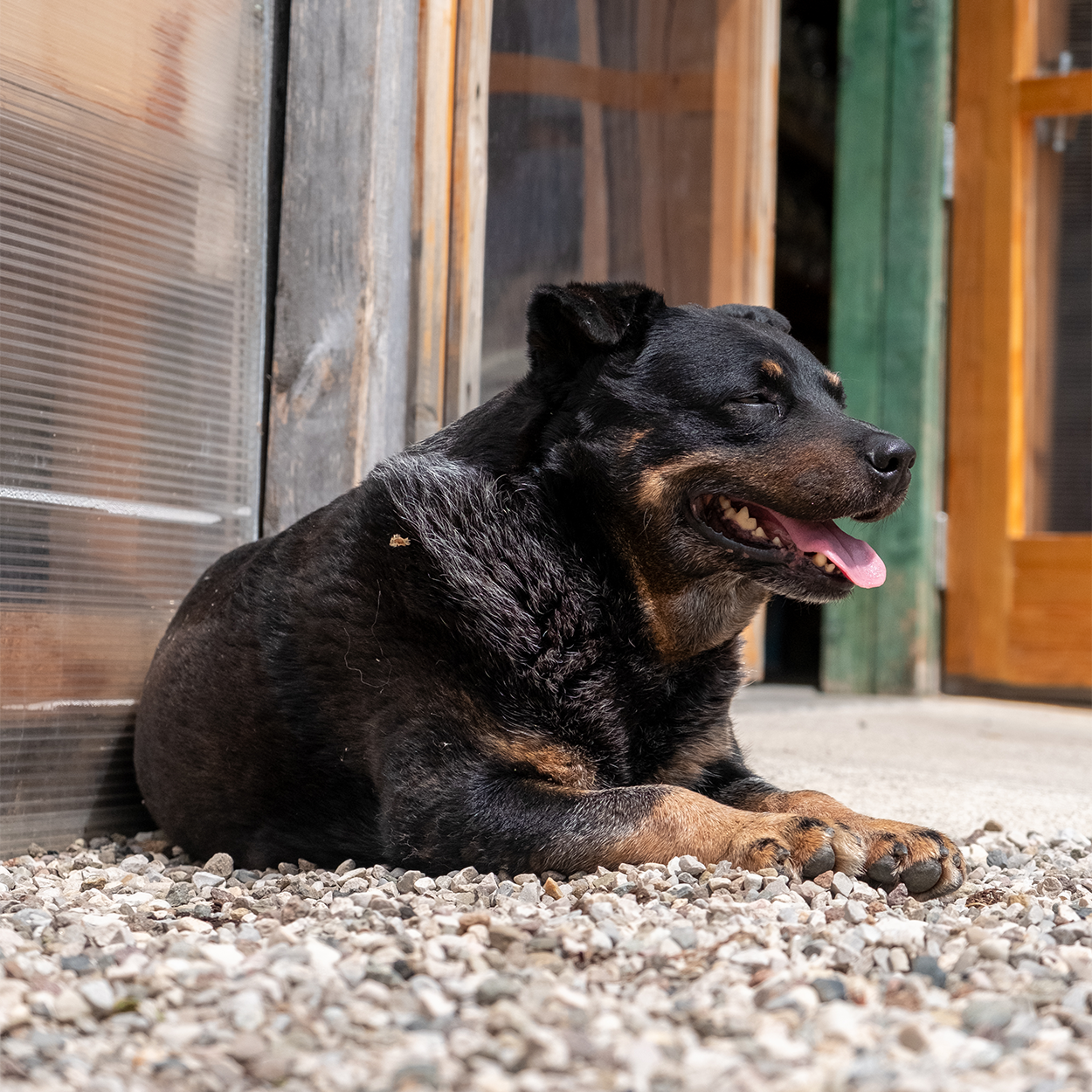 Detergente igienizzante Brezza Marina