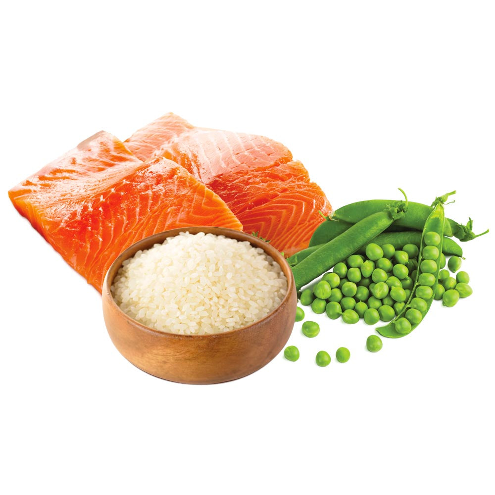 Unica Natura Salmone, Riso e Piselli - UNICO MAXI 2,5 kg