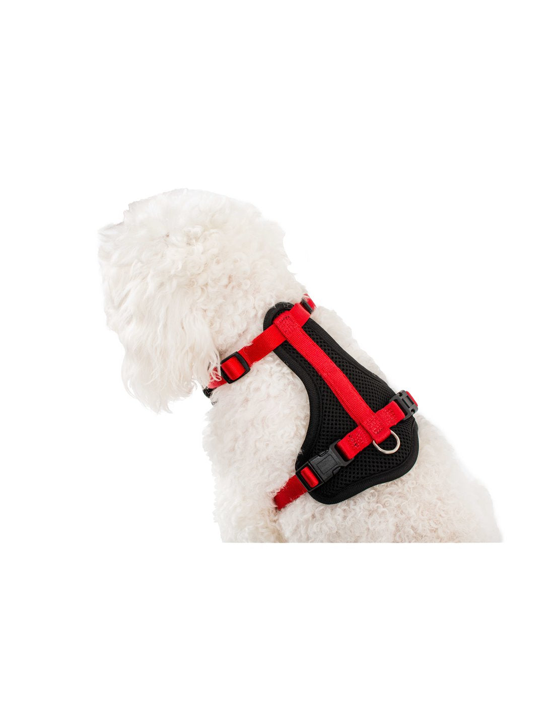 Pettorina easy fit nylon e retina