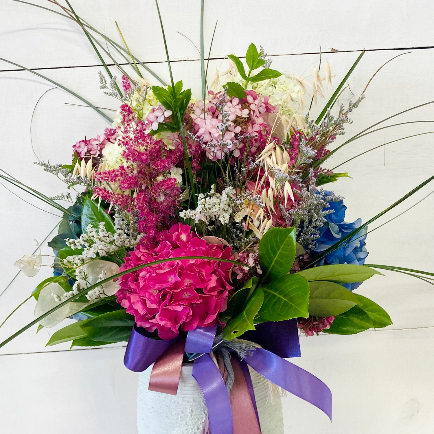 Piante e Fiori