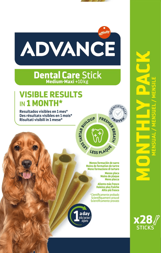 Advance Dental care stick medium/maxi