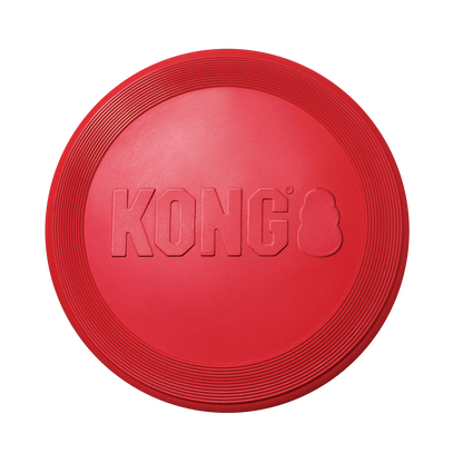 Flyer Kong