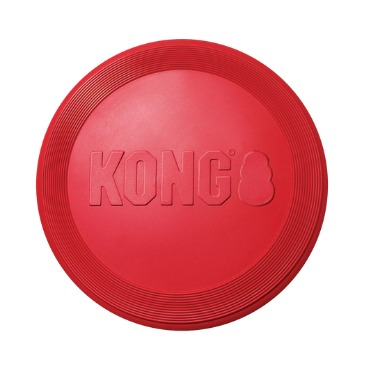 Flyer Kong