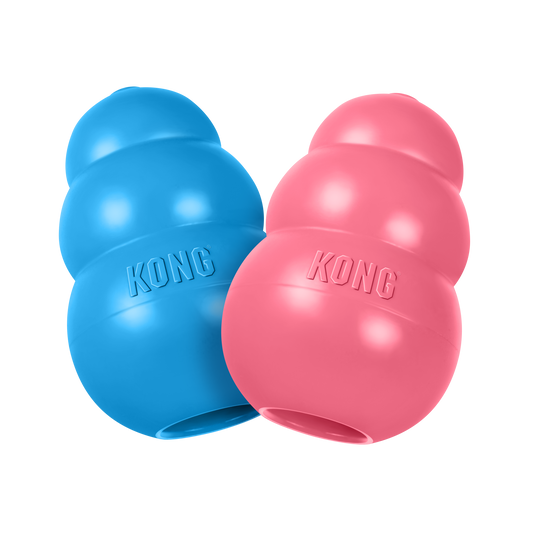 Kong Puppy