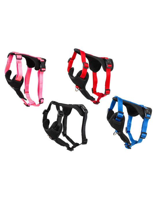 Pettorina easy fit nylon e retina