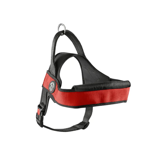 Primo Plus tg M (10/20 kg) Rosso